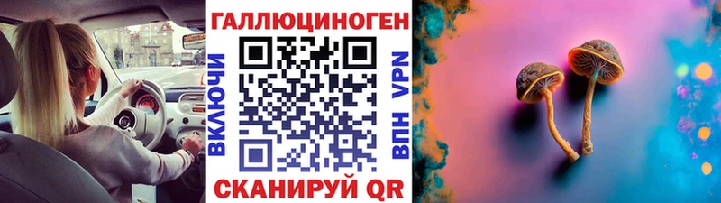 Галлюциногенные грибы Psilocybe  Купить где  Весьегонск 