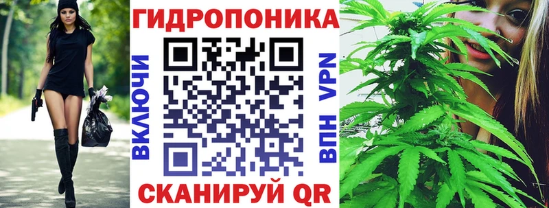 Канабис индика  Купить где  Весьегонск 